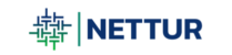 Nettur Consulting